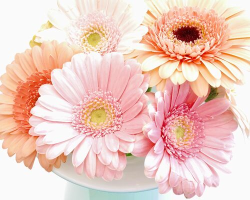 publicdomainq-0053126hrbfej