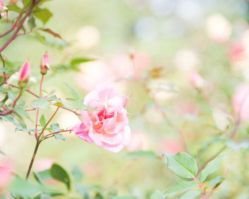 563C3F40-D361-4F6B-83A8-8438AD578C49