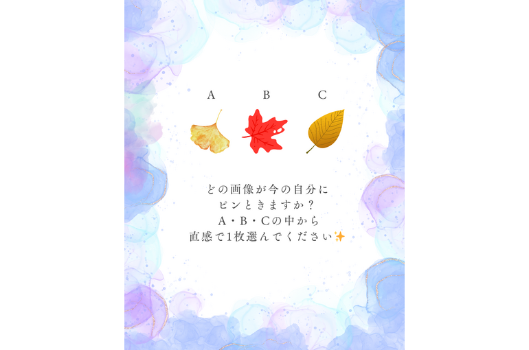 今週の一枚フィード